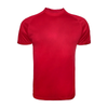 1102 -Adult Polyester Tee