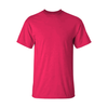1001 Adults Value Tee 4.3 Oz ( Most Popular Printers Tee )